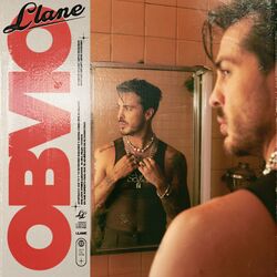 Cover of Obvio