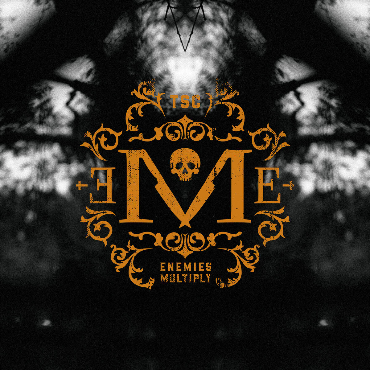 Album cover of Enemies Multiply