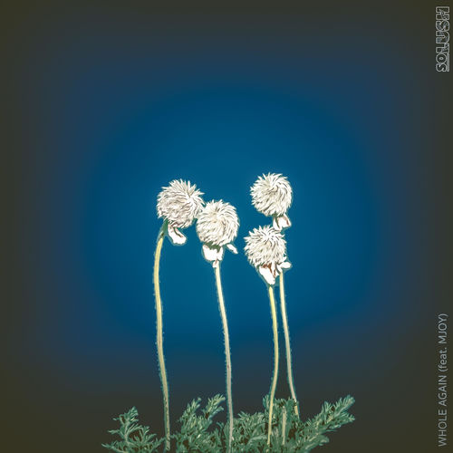 Whole Again (feat. Mjoymusic)