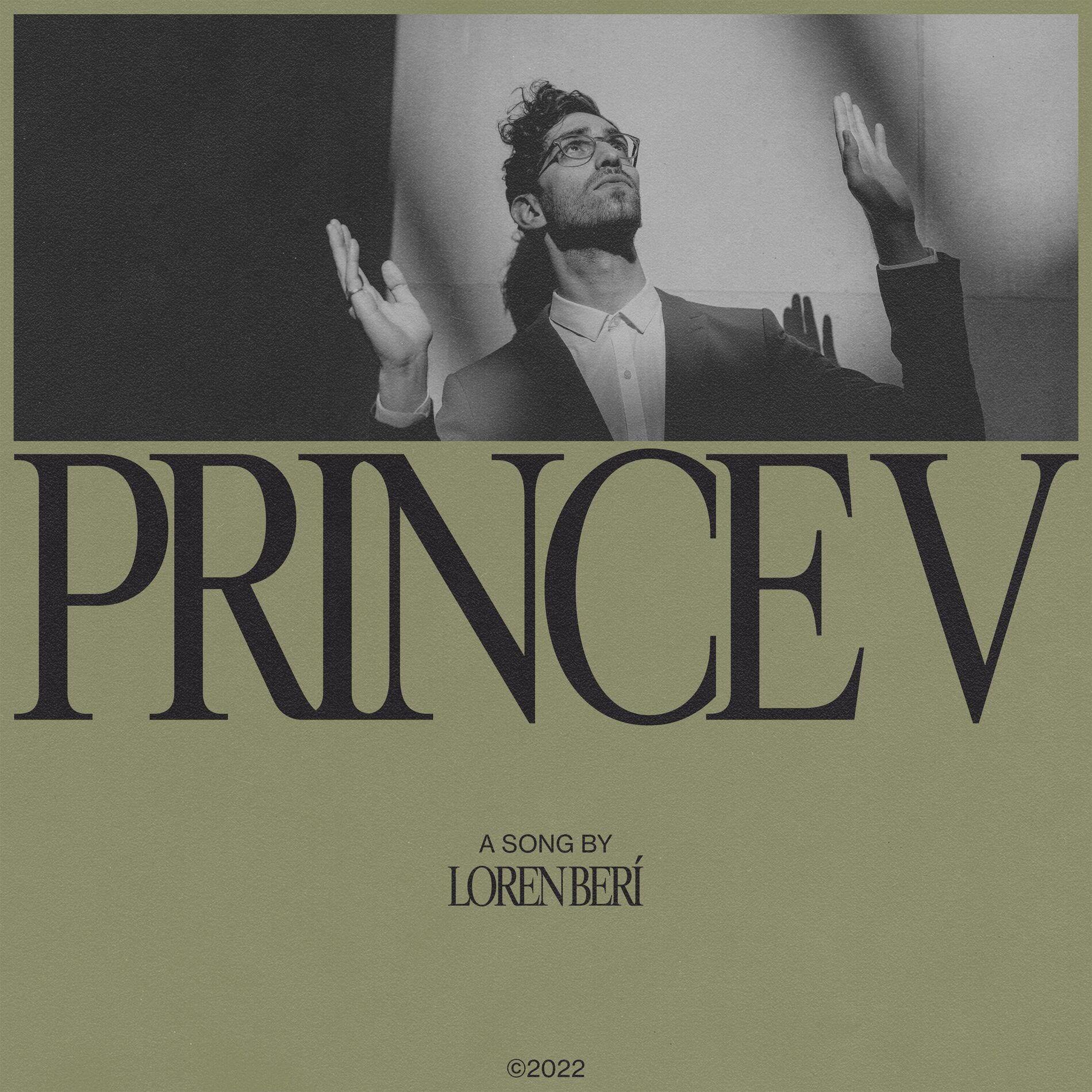 Album cover of Prince V