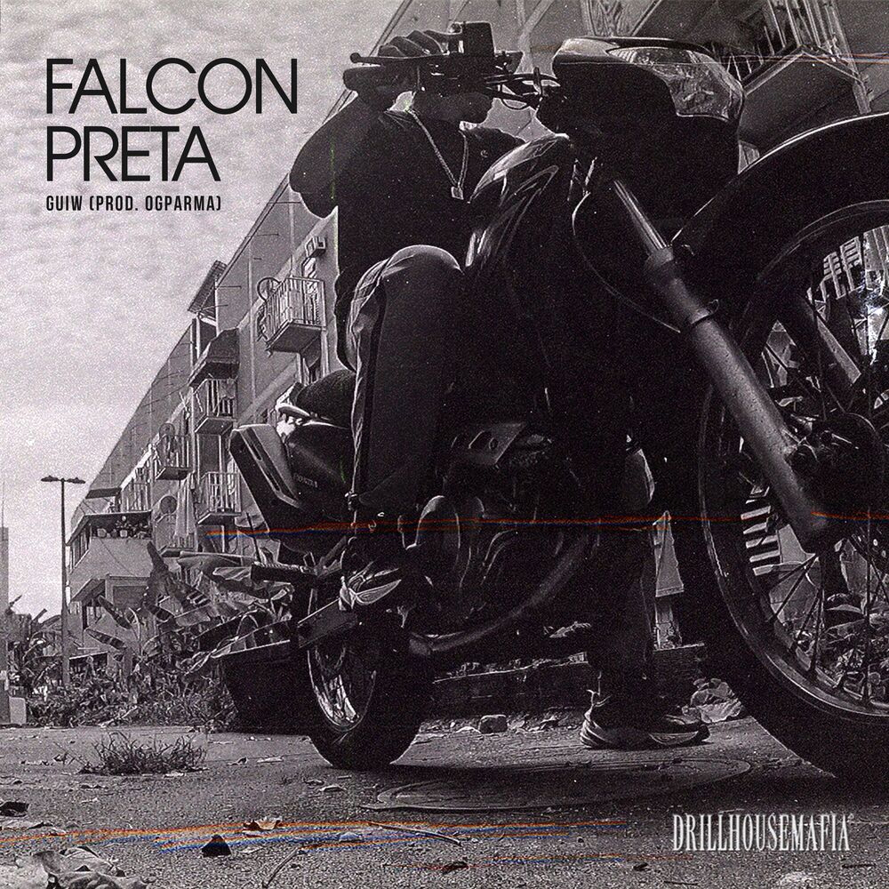 Picture of Falcon Preta