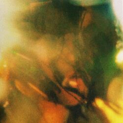 Cover of reasons