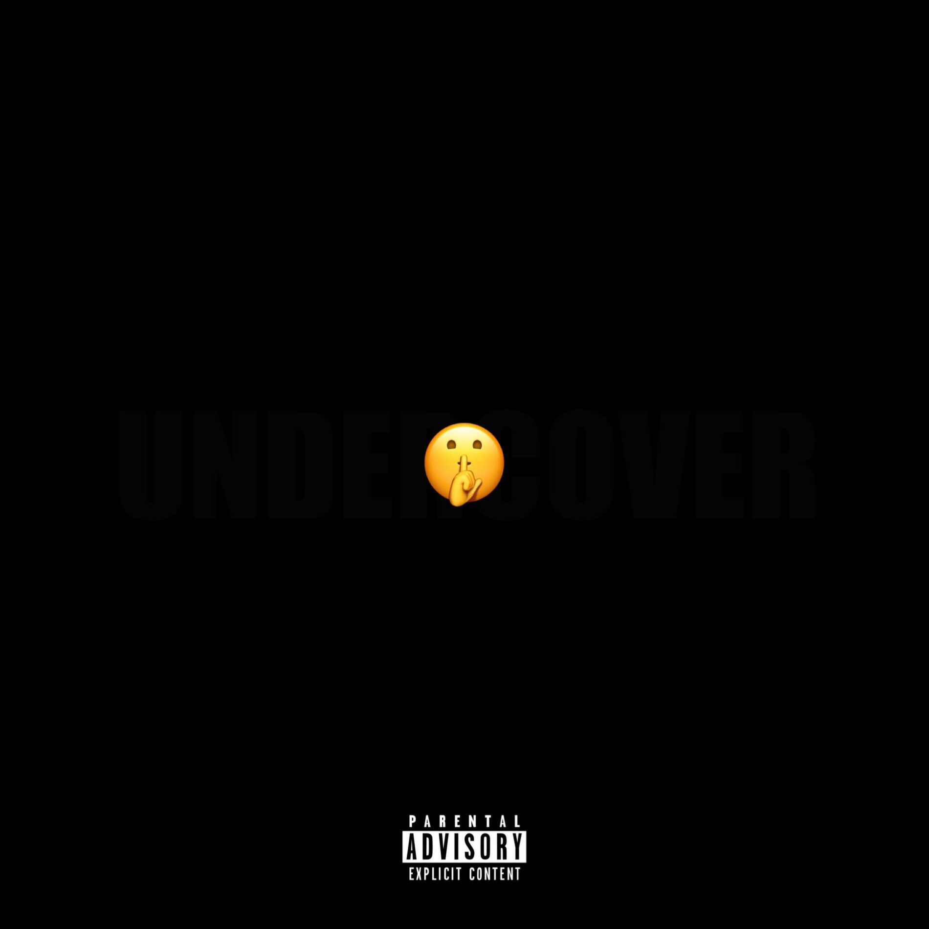 Album cover of UNDERCOVER (feat. Young Judo)