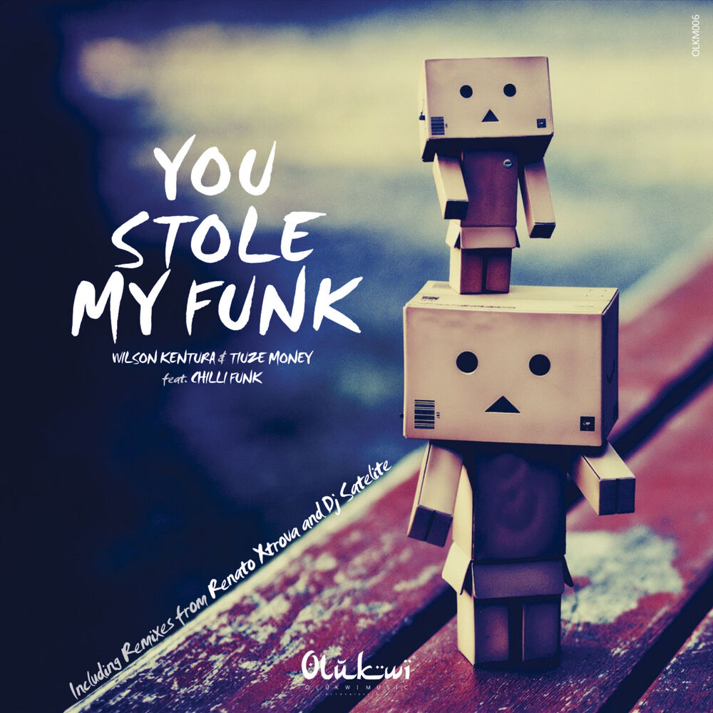 Picture of You Stole My Funk (Incl. Renato Xtrova & DJ Satelite Remixes)