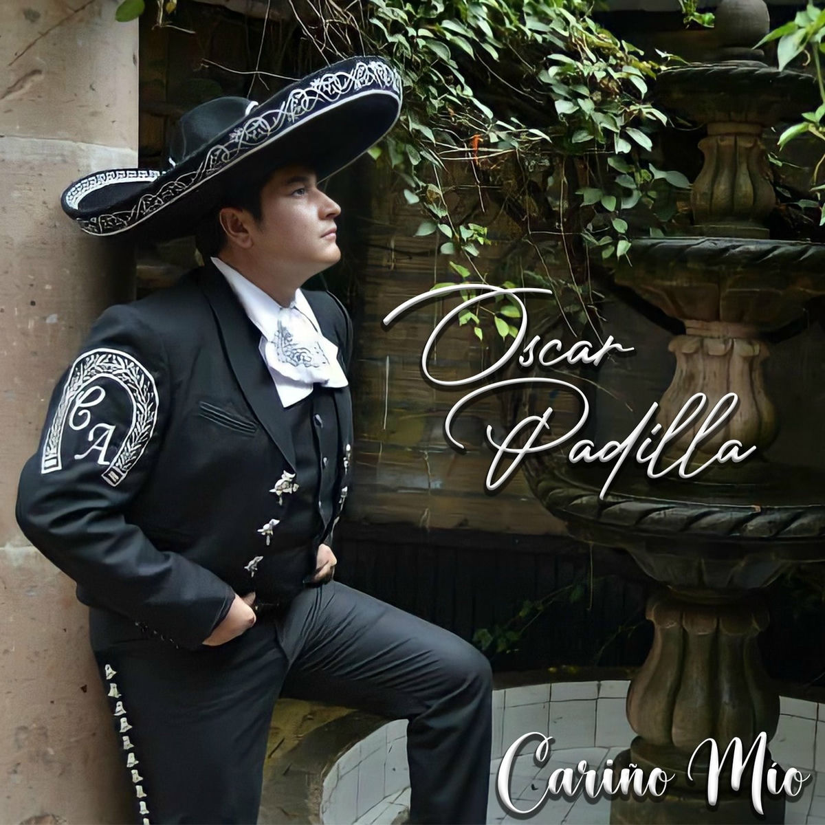 Album cover of Cariño Mío (Yo No Sé Vivir Sin Ti)
