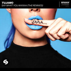 Cover of Say What You Wanna (The Remixes)