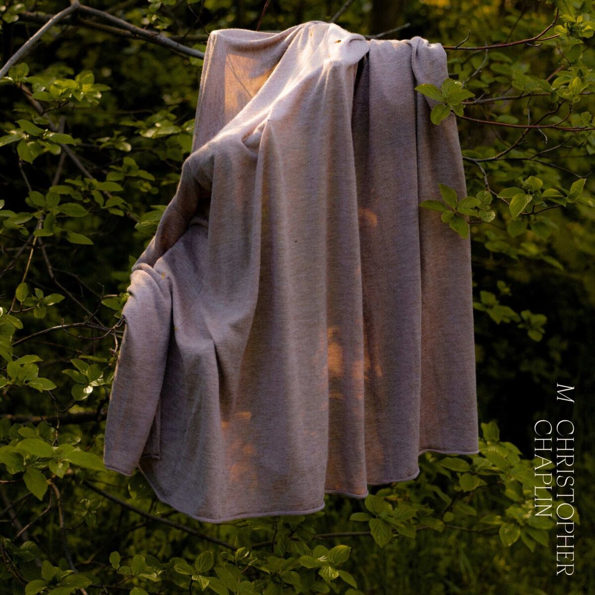 Album cover of M