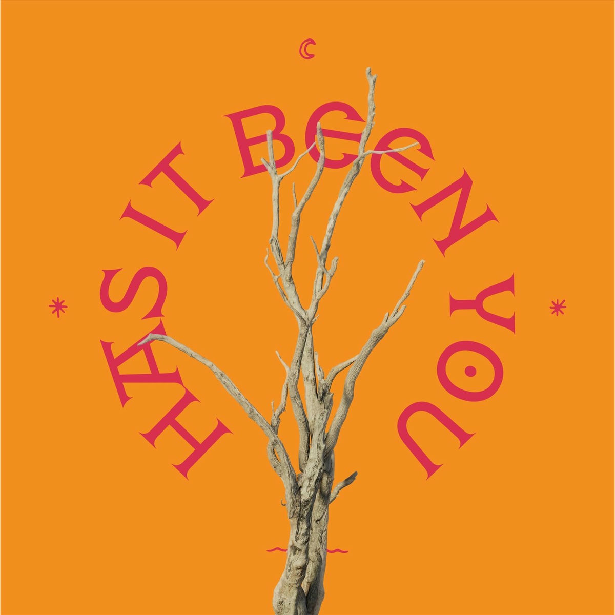 Album cover of Has It Been You