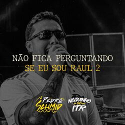 Cover of Não Fica Perguntando Se Eu Sou Raul (2)