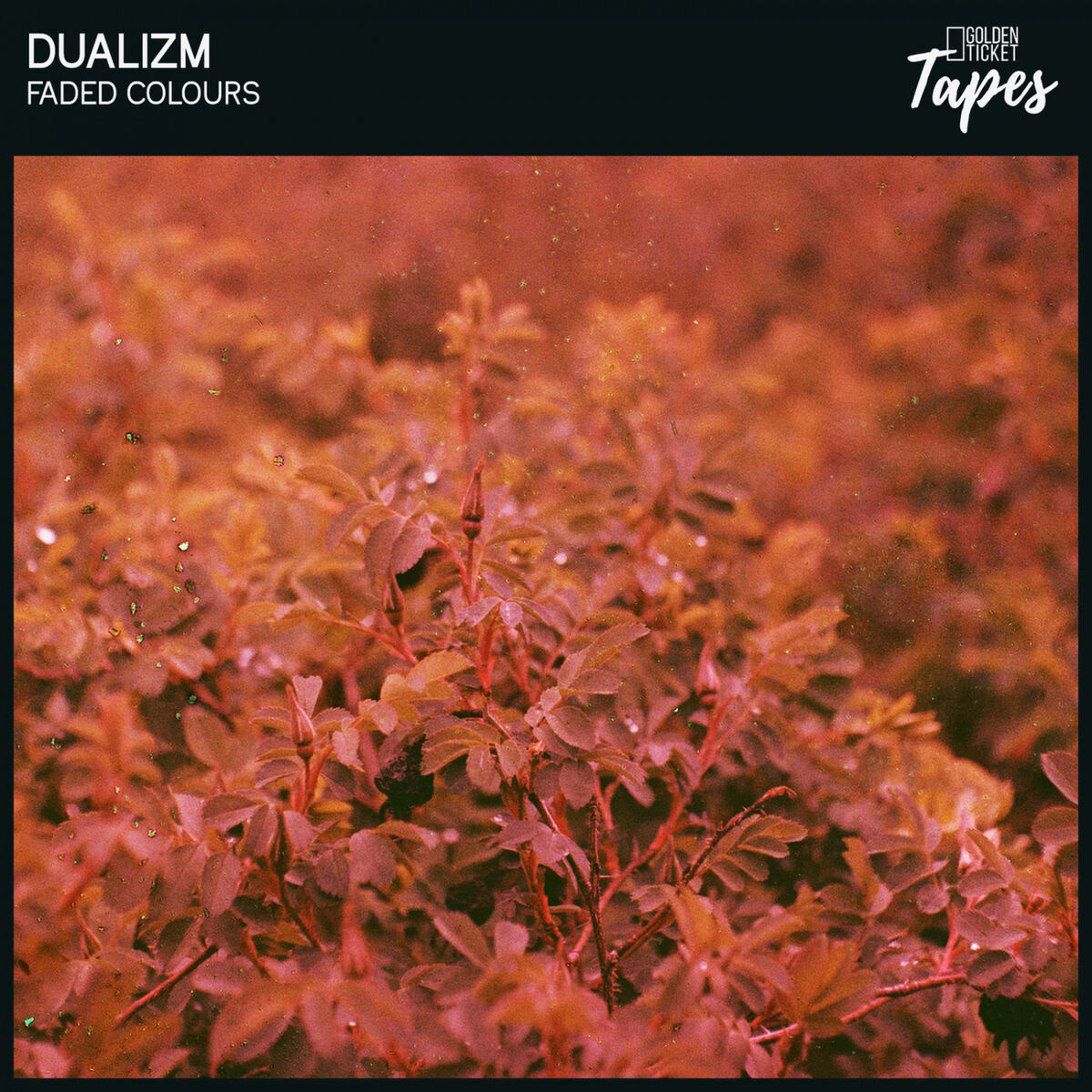 Album cover of Faded Colours