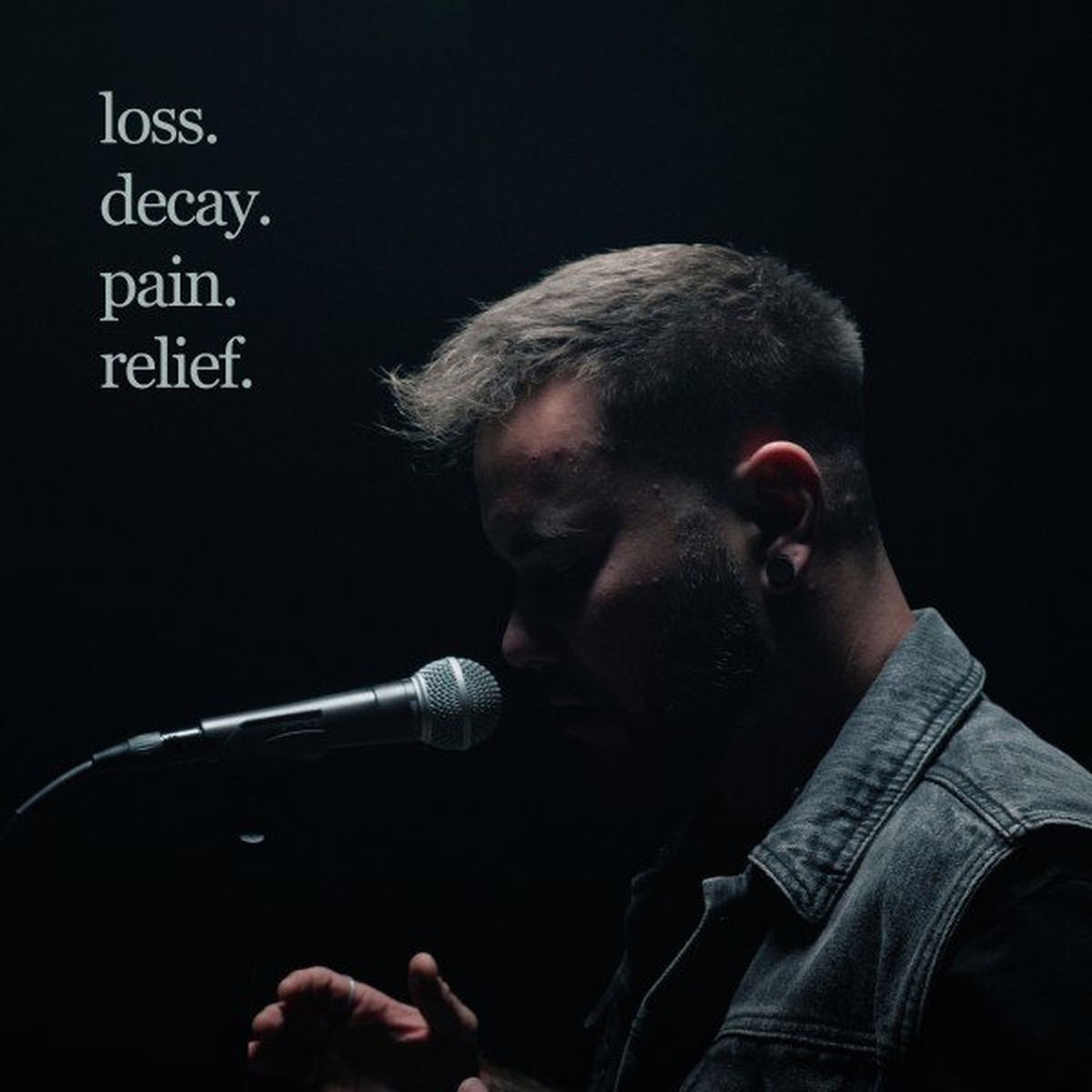 Album cover of Loss. Decay. Pain. Relief.