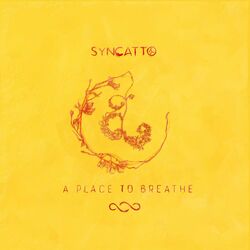 Cover of A Place to Breathe