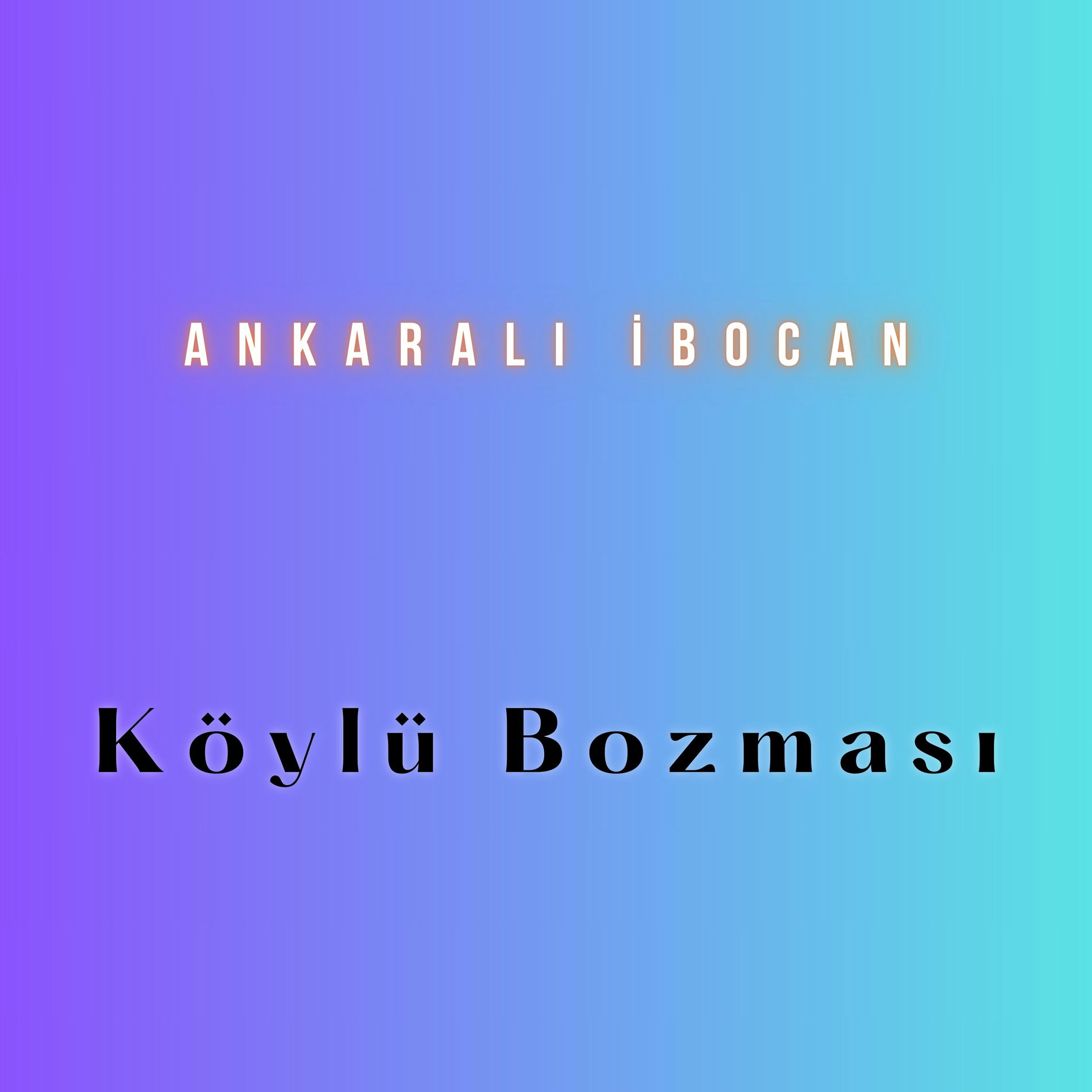 Album cover of Köylü Bozması