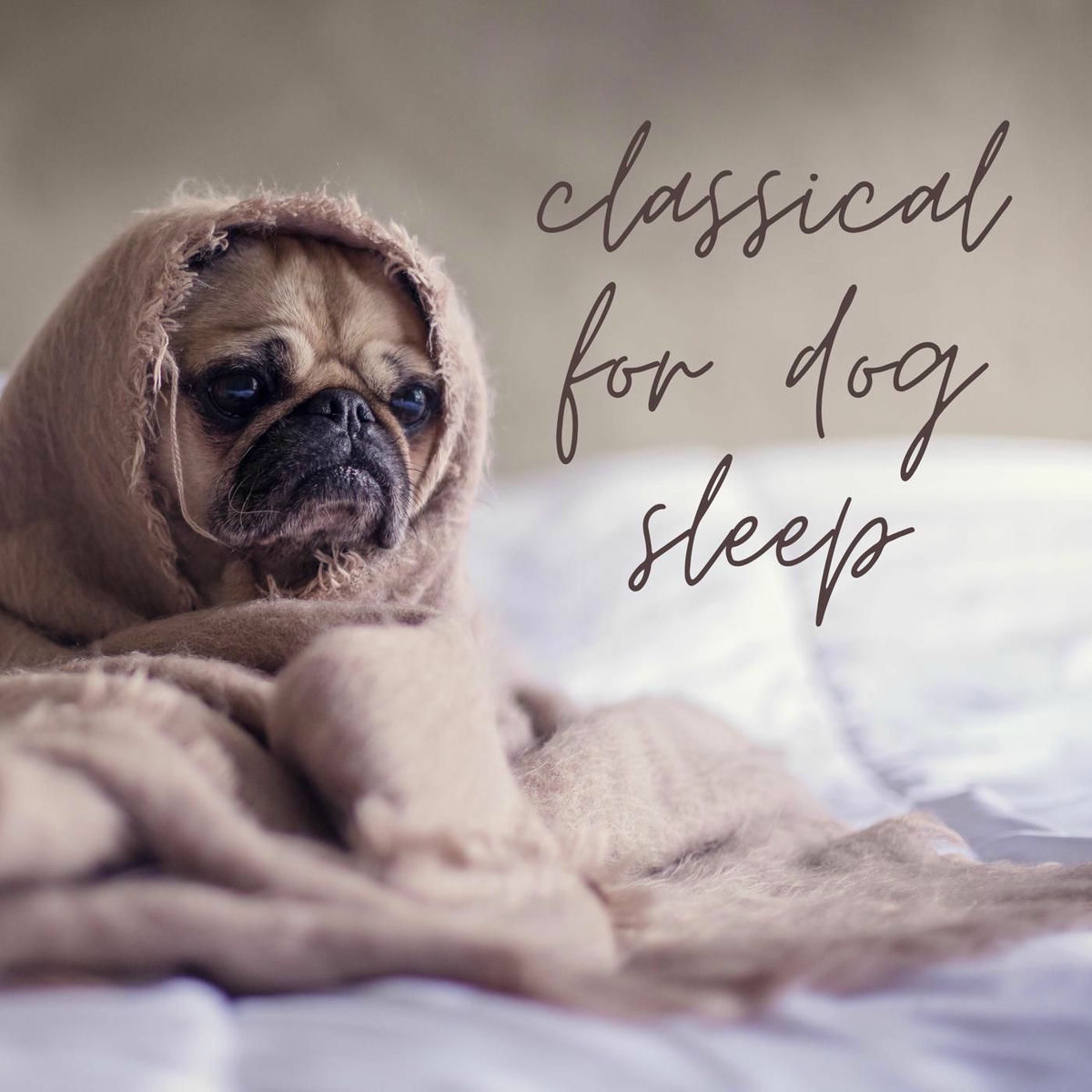 Album cover of classical for dog sleep