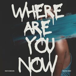 Cover of Where Are You Now