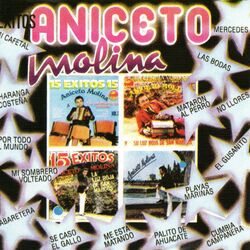 Cover of 15 Exitos