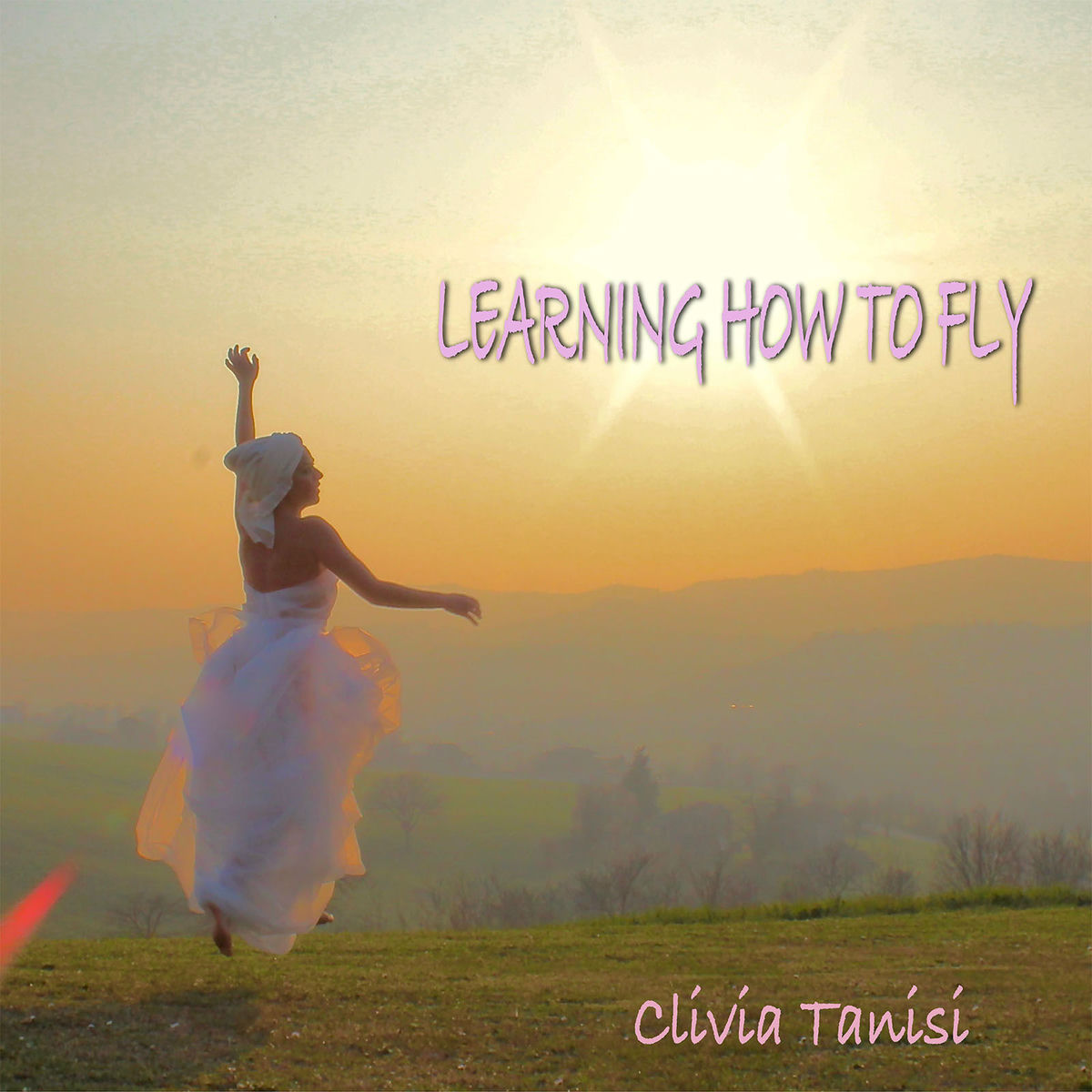 Learning How to Fly cover