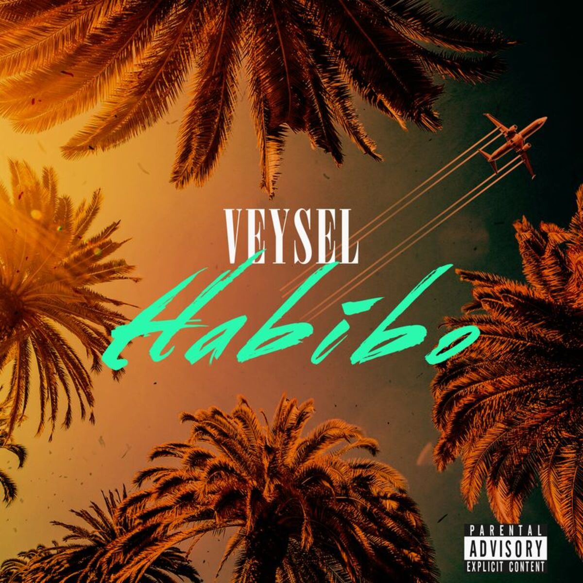 Album cover of Habibo