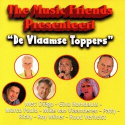 Cover of De Vlaamse Toppers (De Vlaamse Toppers)