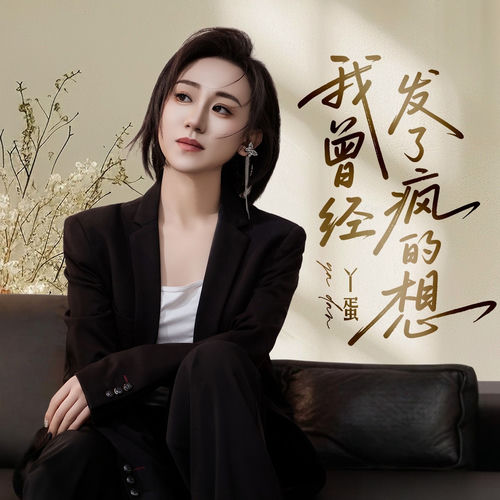 我曾经发了疯的想（DJ九零破碎版）
