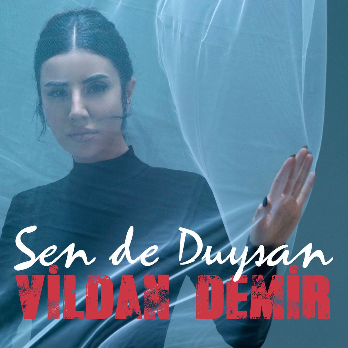 Album cover of Sen De Duysan