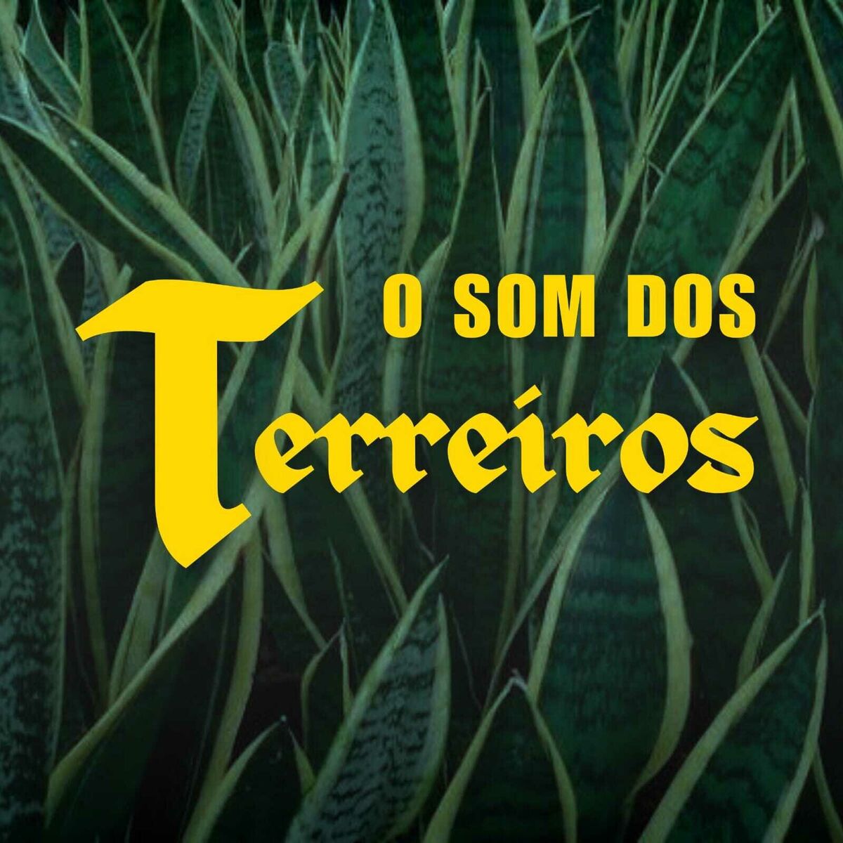 Album cover of O Som dos Terreiros