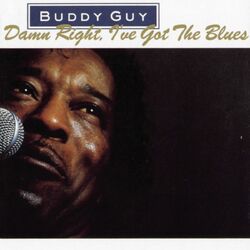 Cover of Damn Right, I've Got The Blues