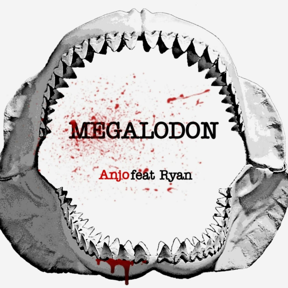 Album artwork for Megalodon by Anjo
