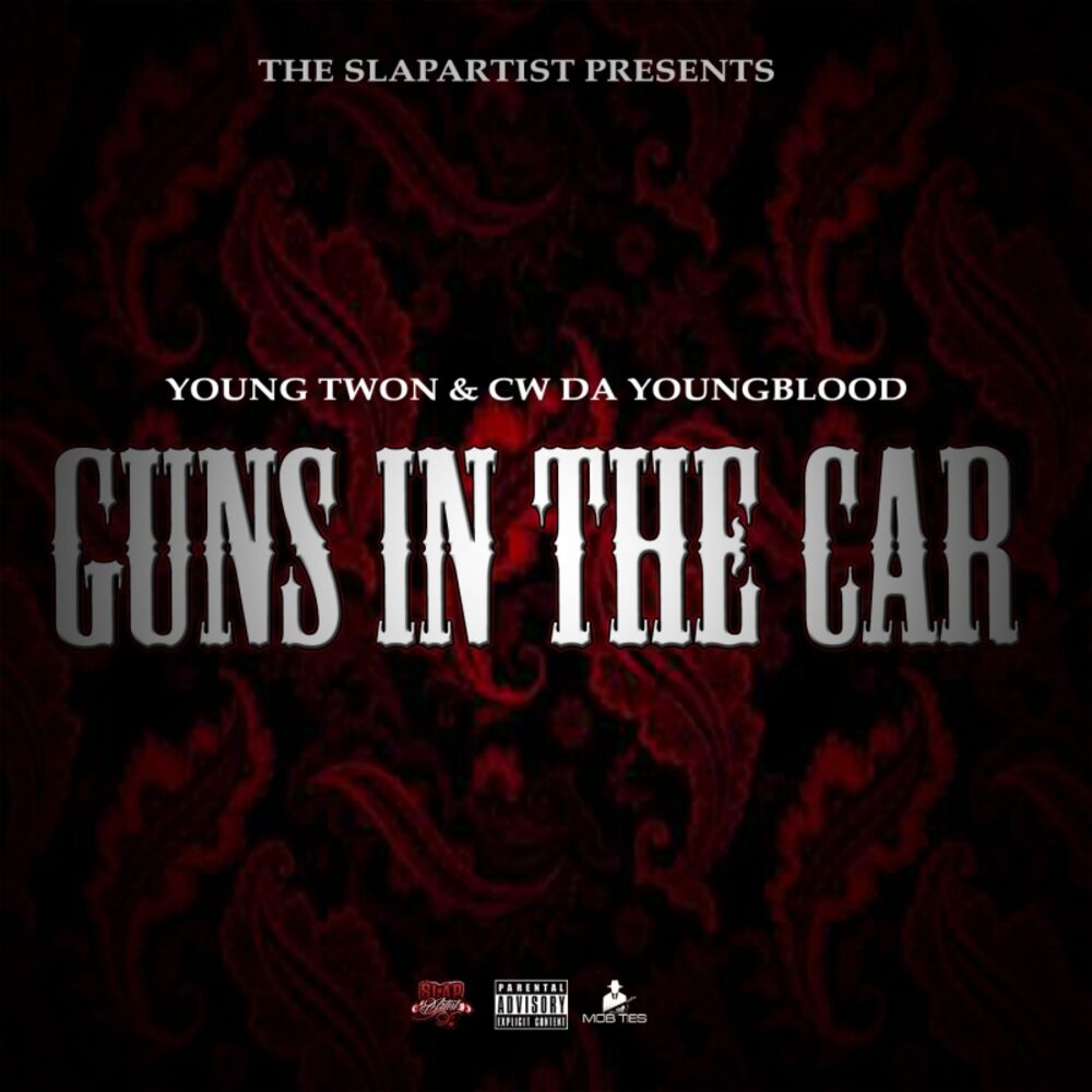 Picture of Gunz In The Car