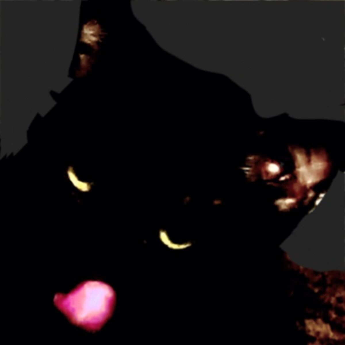 Album cover of intervals