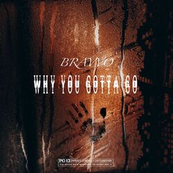 Cover of Why You Gotta Go