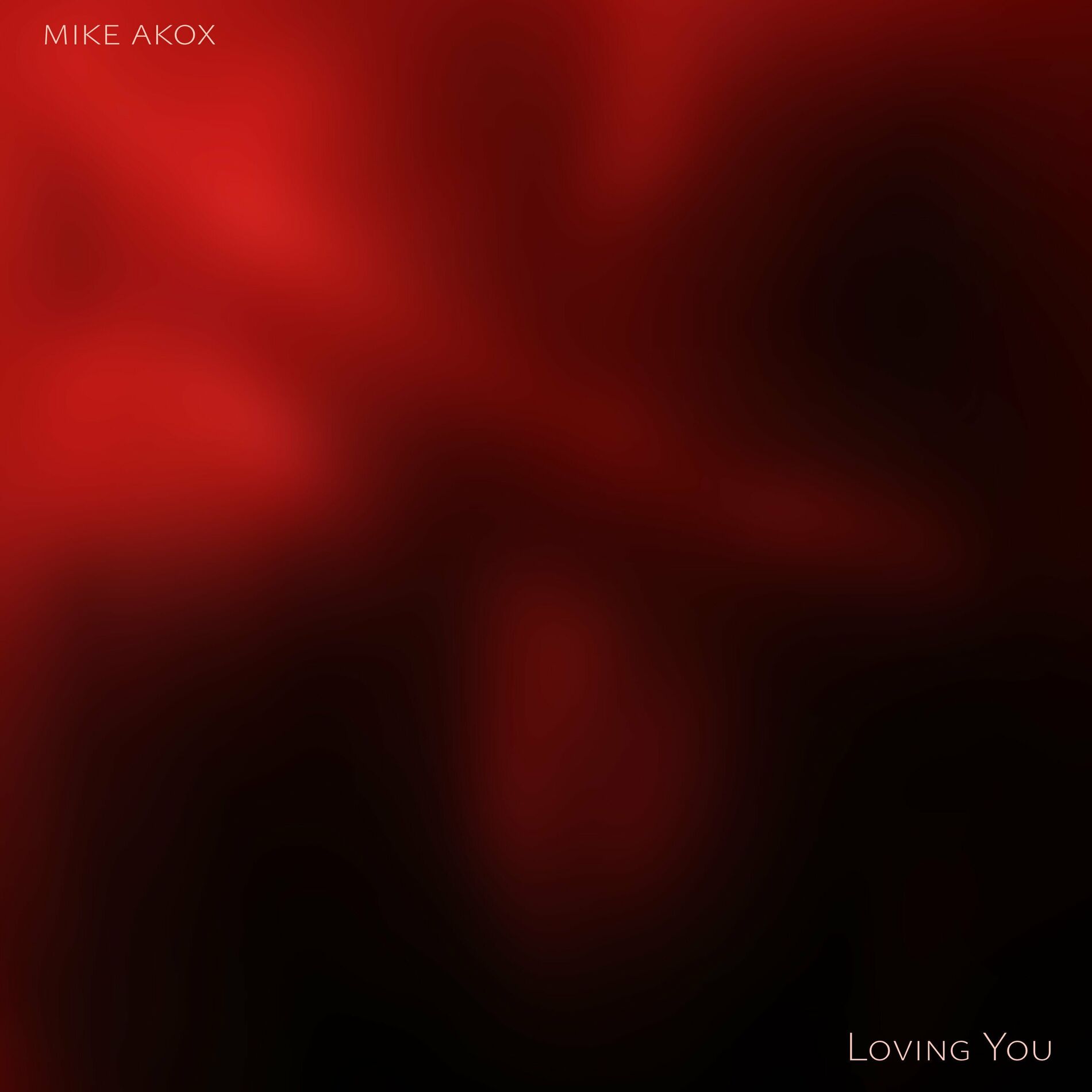 Album cover of Loving You