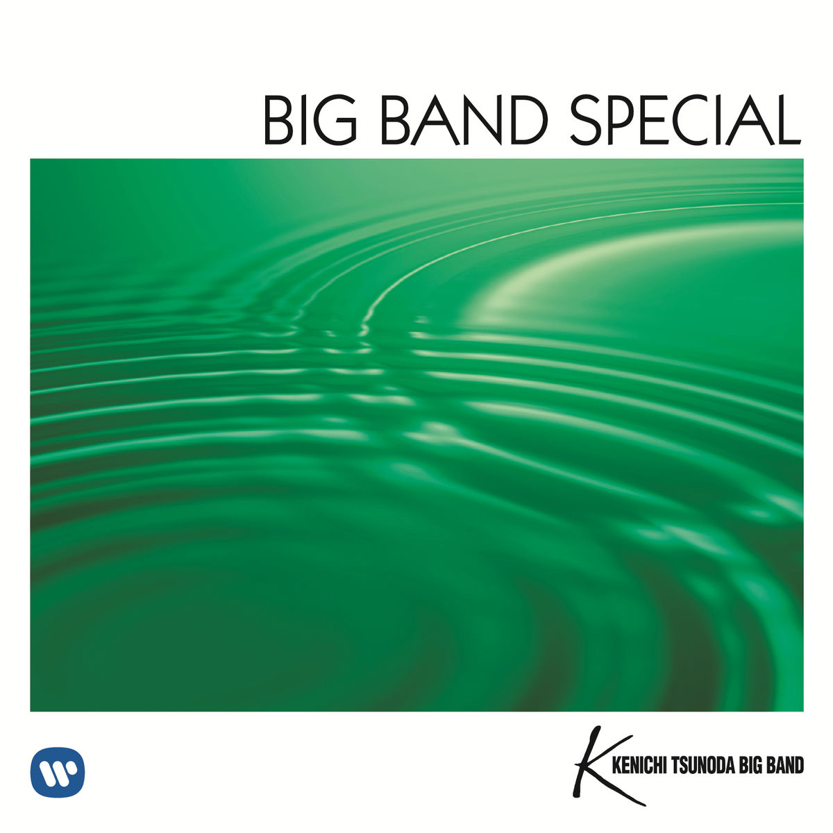 Album cover of BIG BAND SPECIAL