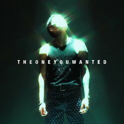 Cover of THE ONE YOU WANTED