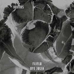 Cover of Fliflu / Bye Julia