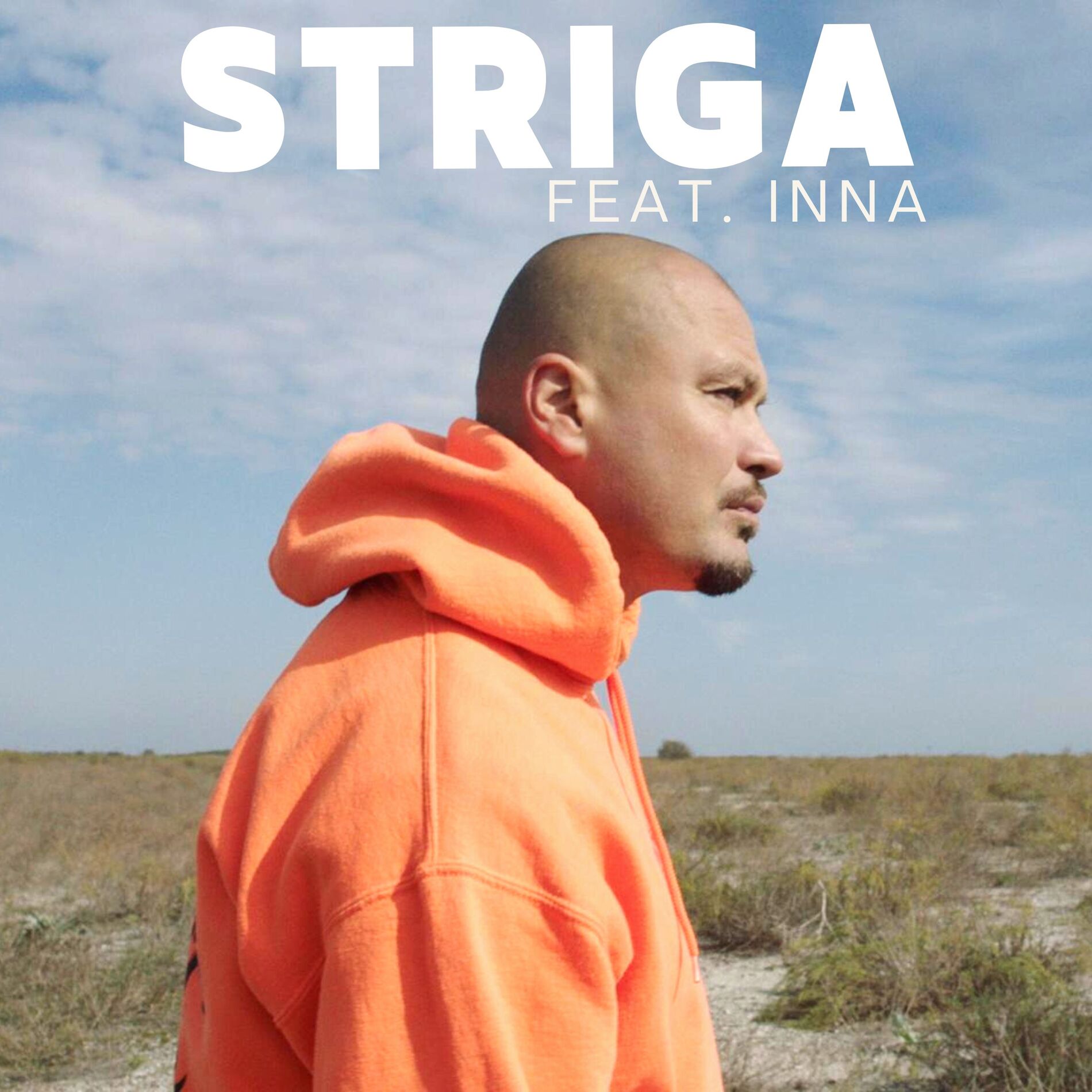 Album cover of Striga