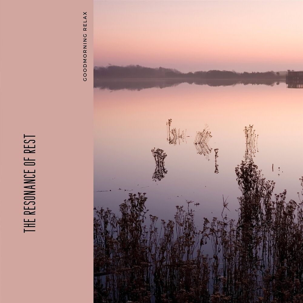 Picture of The Resonance of Rest: Echoes of Ease at 432 Hz