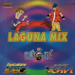 Cover of Laguna Mix