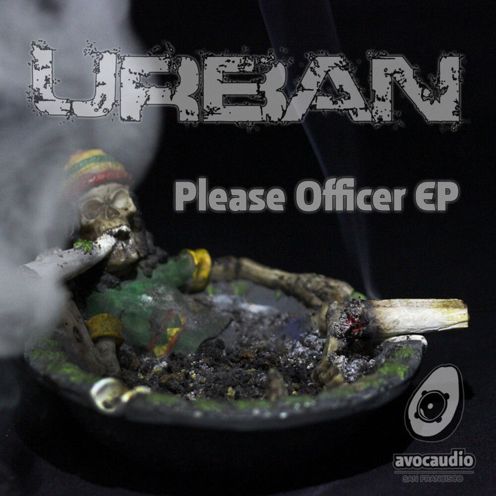 Picture of Please Officer