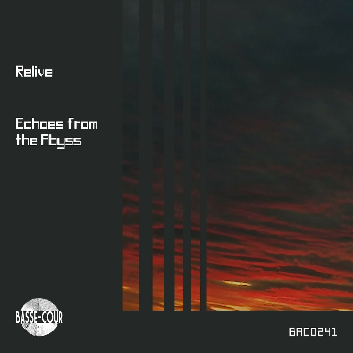 Album cover of Echoes from the Abyss