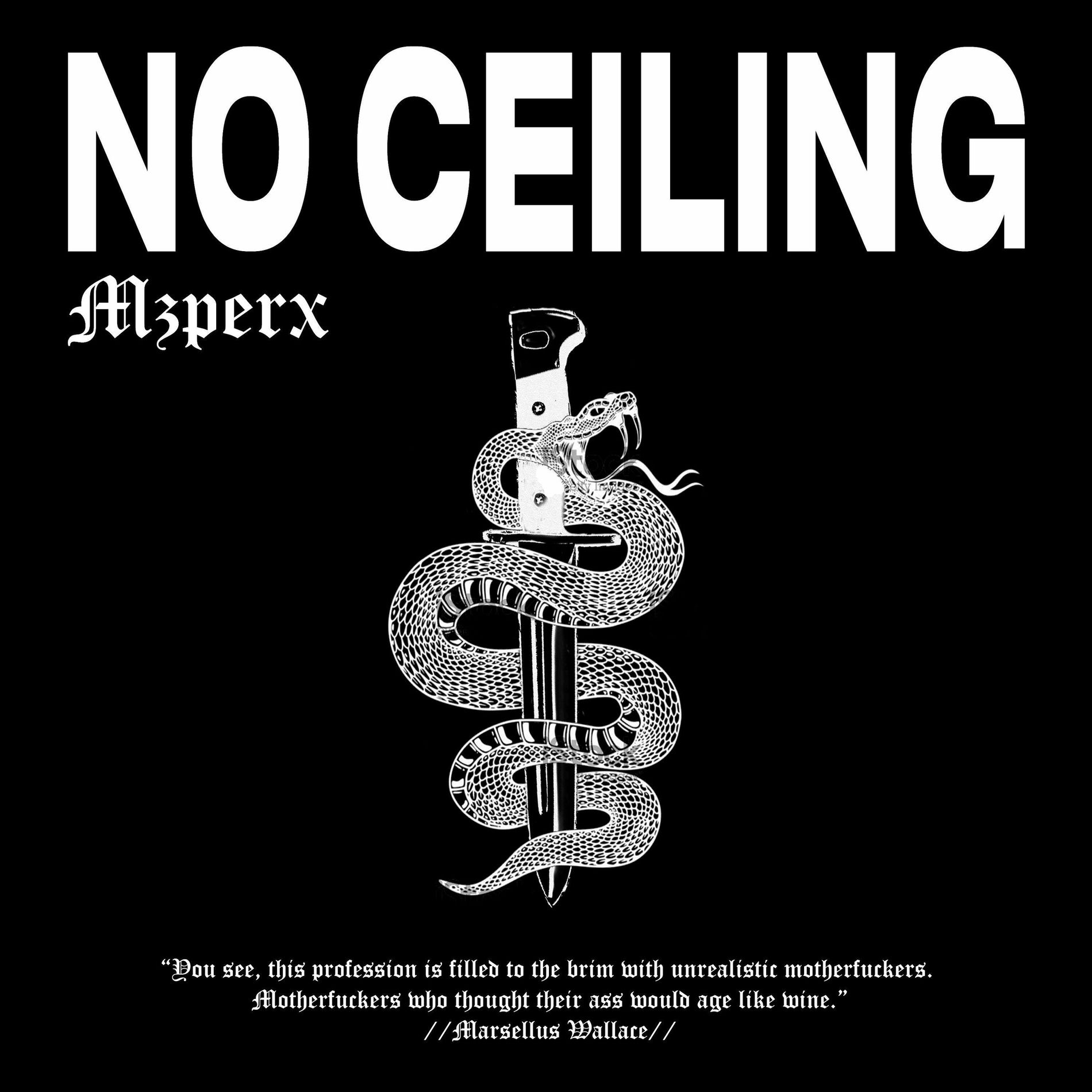 Album cover of No Ceiling
