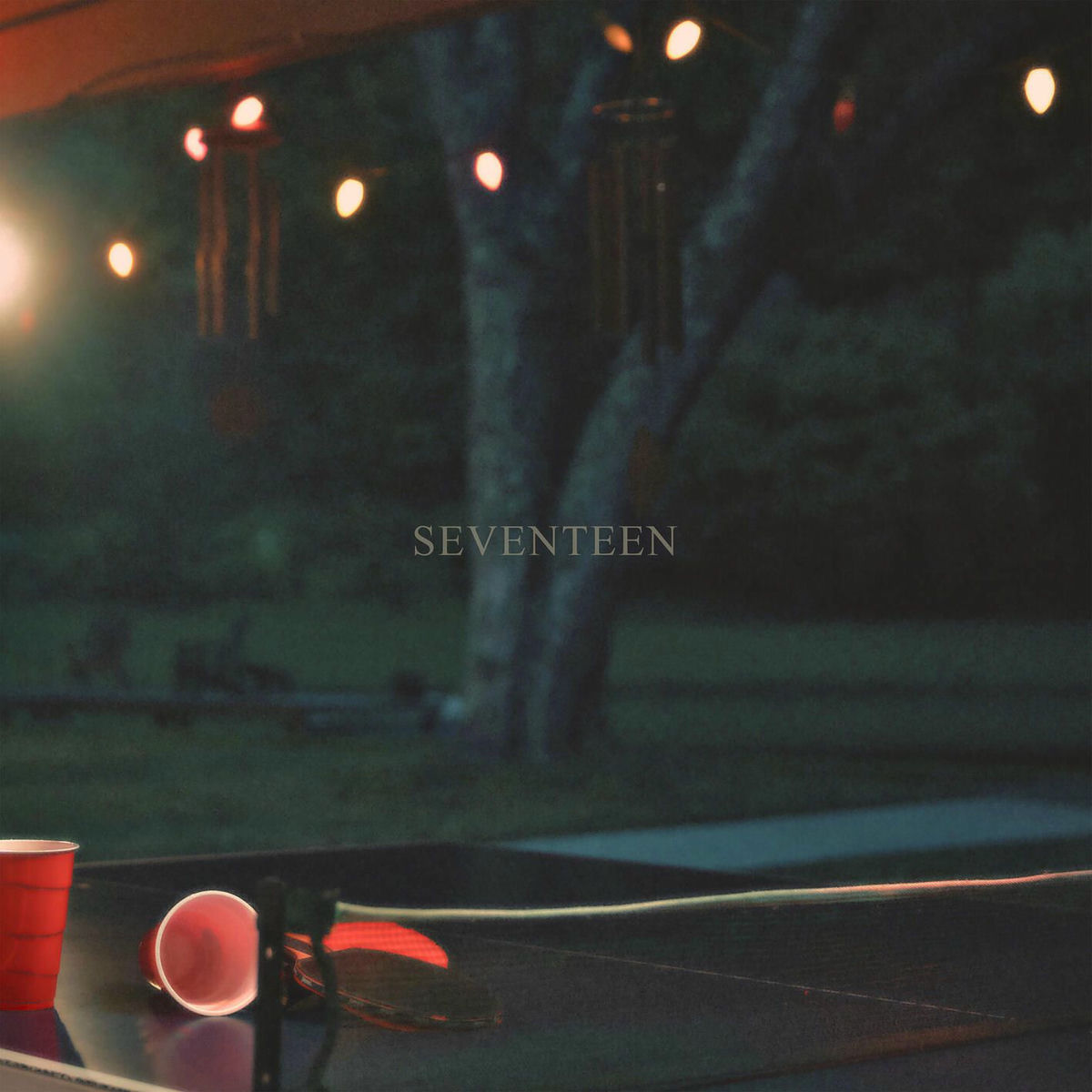 Album cover of Seventeen