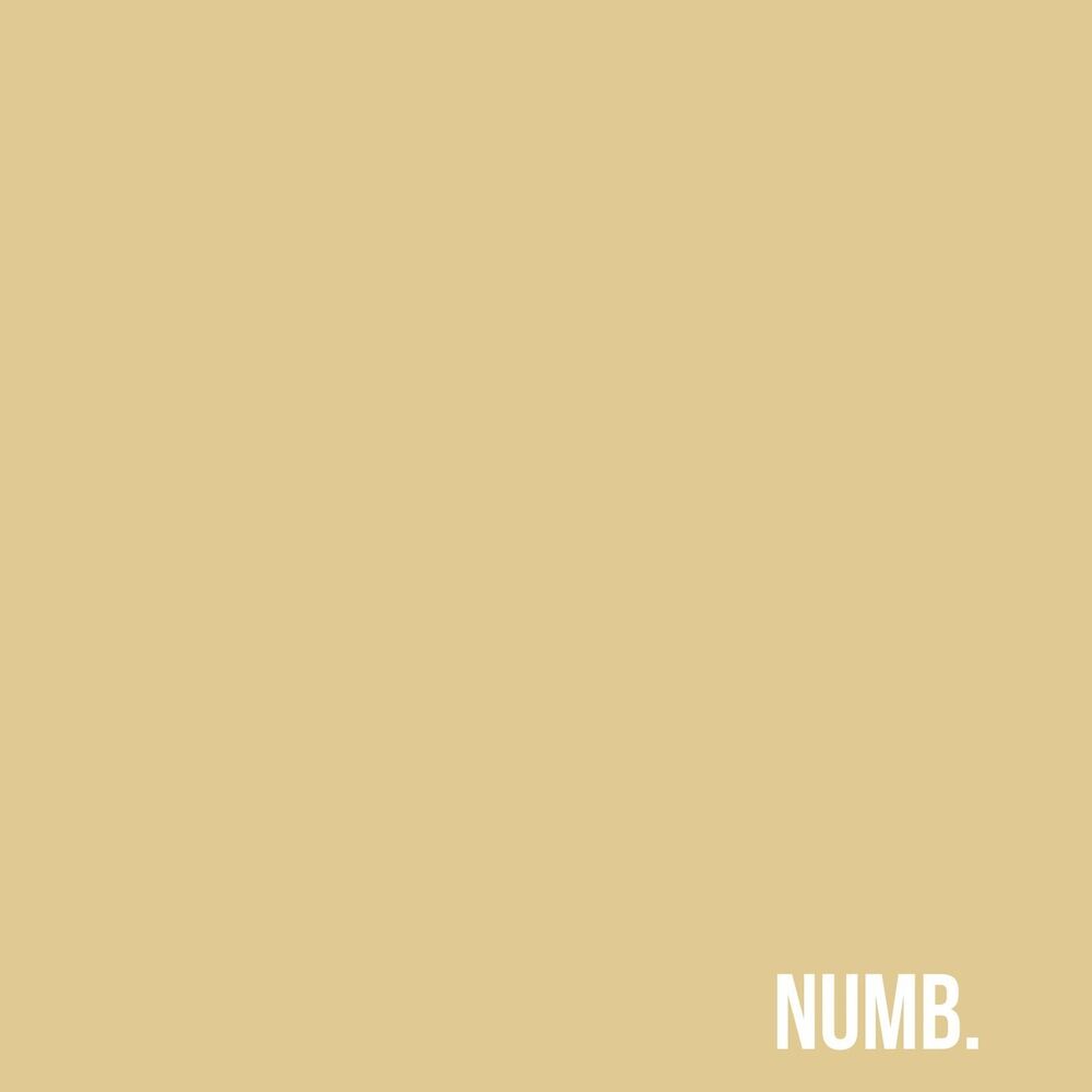 Picture of Numb