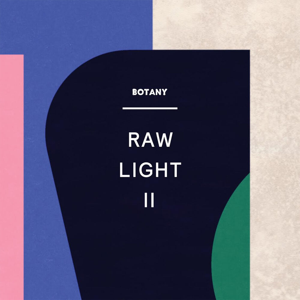 Picture of Raw Light II