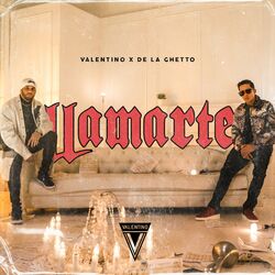 Cover of Llamarte