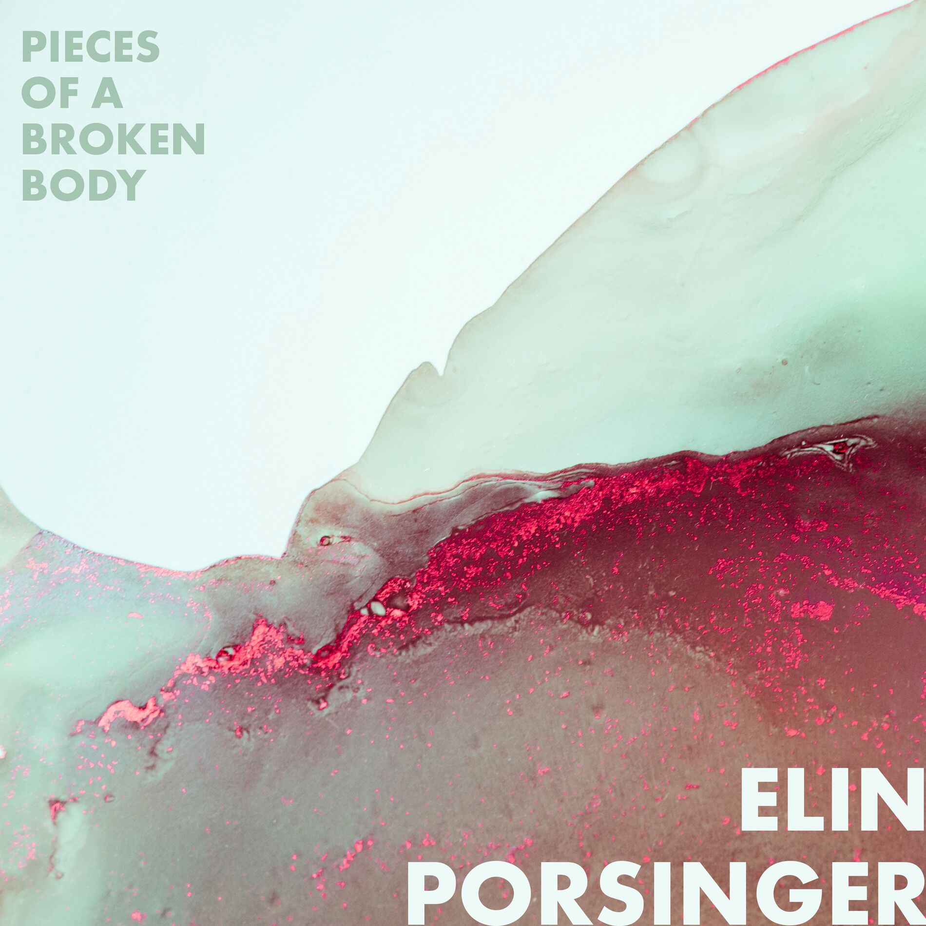 Album cover of Pieces of a Broken Body