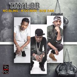 Cover of Taylor