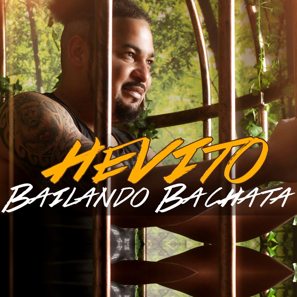 Picture of Bailando Bachata