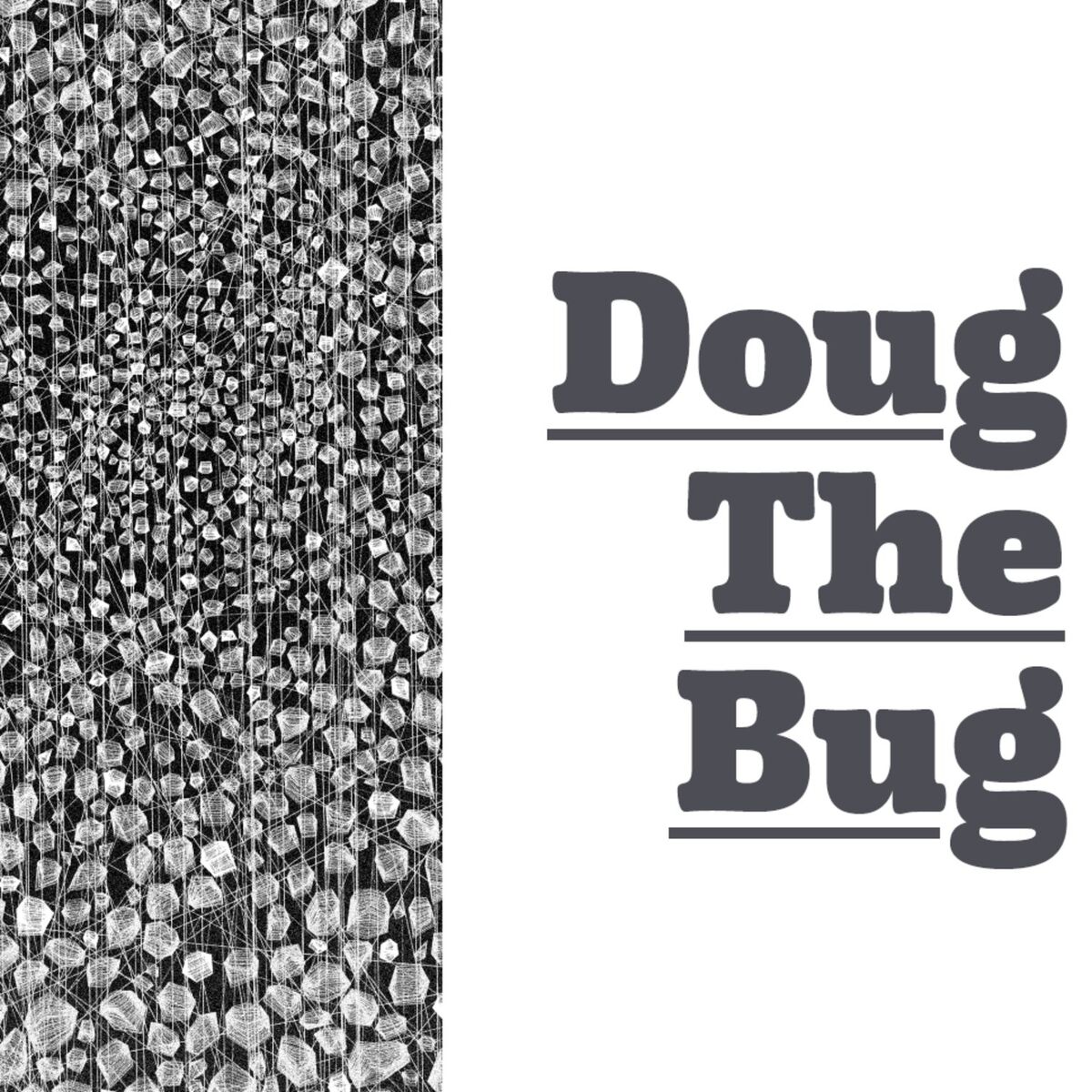 Album cover of Doug the Bug