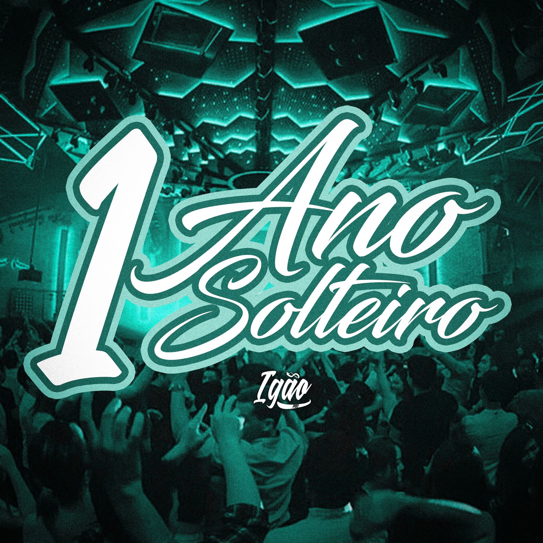 Album cover of 1 Ano Solteiro